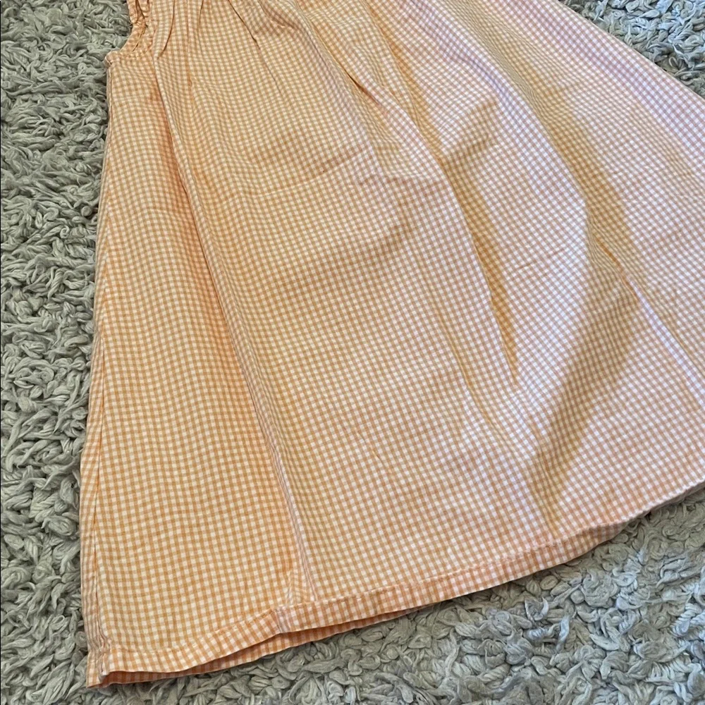 2010 Gymboree Outlet “Social Butterfly” Gingham Dress, Size 5
